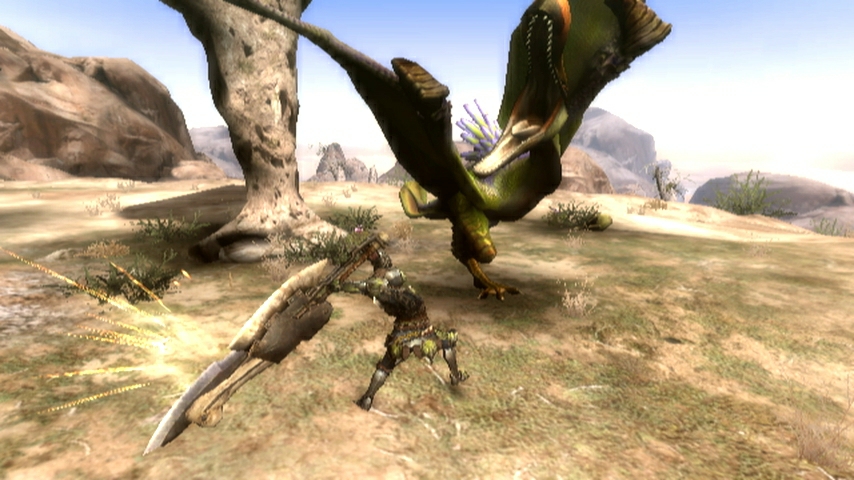 Monster Hunter Tri (3)